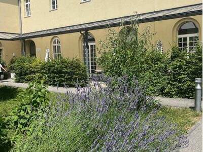 Mietwohnung in 4600 Wels (Bild 1)