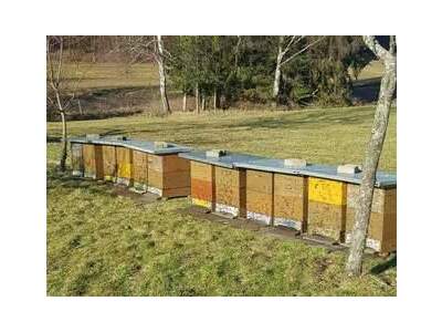 Immobilie provisionsfrei in 4020 Linz