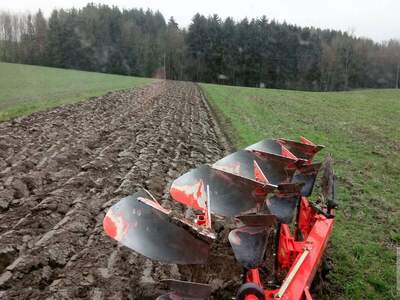 Gewerbeobjekt kaufen in 3484 Grafenwörth