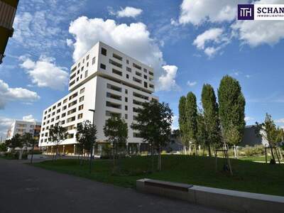 Einzelhandel mieten in 1210 Wien (Bild 2)