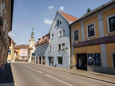 Anlageobjekt kaufen in 8461 Ehrenhausen (Bild 5)