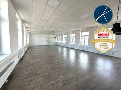 Büro / Praxis mieten in 3500 Krems (Bild 2)