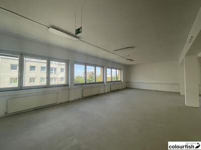 Gewerbeobjekt mieten in 1100 Wien (Bild 4)