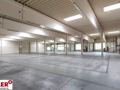 Gewerbeobjekt mieten in 4063 Hörsching