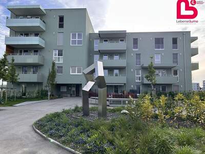 Wohnung mit Balkon kaufen in 4481 Asten (Bild 1)