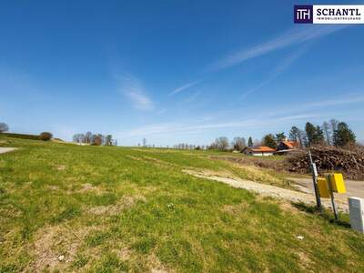 Grundstück kaufen in 8062 Kumberg (Bild 4)