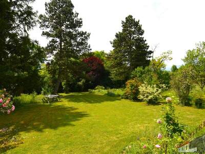 Einfamilienhaus kaufen in 2721 Bad Fischau (Bild 5)