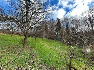 Einfamilienhaus kaufen in 5023 Salzburg (Bild 1)