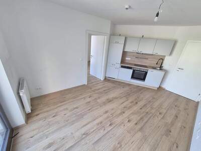 Wohnung mieten in 8020 Graz