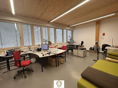 Gewerbeobjekt mieten in 6130 Schwaz (Bild 4)