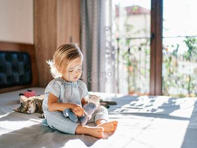 Haus mit Garten kaufen in 2201 Gerasdorf (Bild 1)