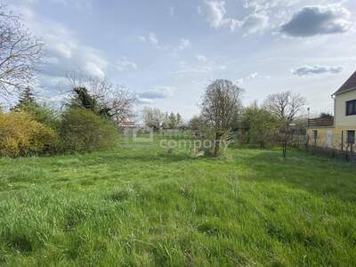 Grundstück kaufen in 2512 Tribuswinkel