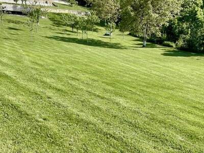 Grundstück kaufen in 4221 Steyregg (Bild 5)