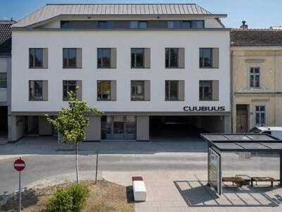 Wohnung mieten in 2483 Ebreichsdorf