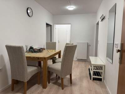 Terrassenwohnung mieten in 1020 Wien (Bild 3)