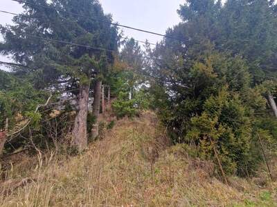 Grundstück kaufen in 3400 Weidlingbach