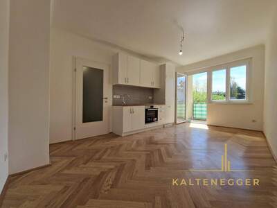 Wohnung mieten in 1190 Wien