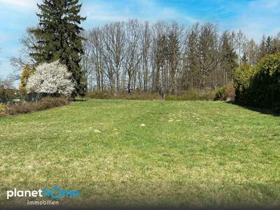 Grundstück kaufen in 3062 Kirchstetten (Bild 2)