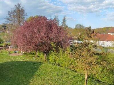 Mietwohnung in 8063 Eggersdorf