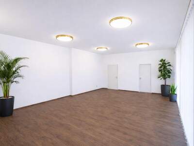 Gewerbeobjekt mieten in 4600 Wels (Bild 2)