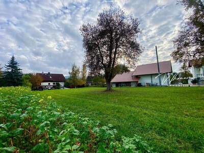 Grundstück kaufen in 4861 Schörfling