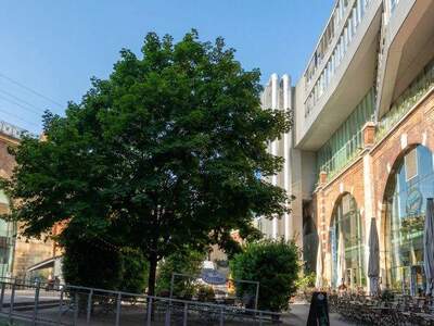 Büro / Praxis mieten in 1190 Wien (Bild 4)