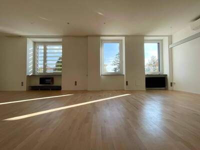 Gewerbeobjekt mieten in 2340 Mödling