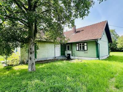 Grundstück kaufen in 4600 Wels (Bild 5)