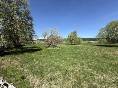 Gewerbeobjekt kaufen in 2753 Dreistetten