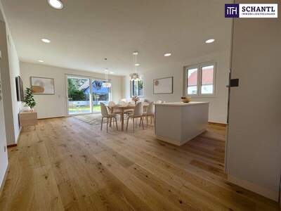 Terrassenwohnung mieten in 1210 Wien (Bild 2)