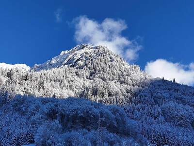 Grundstück kaufen in 6754 Klösterle
