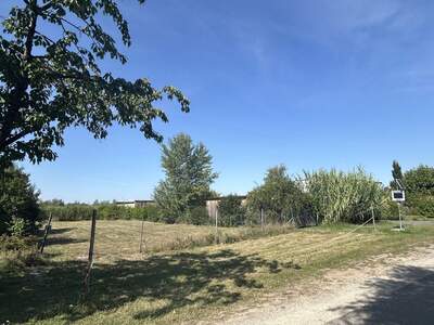 Grundstück kaufen in 7100 Neusiedl (Bild 2)