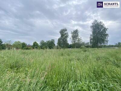 Grundstück kaufen in 7564 Dobersdorf (Bild 4)