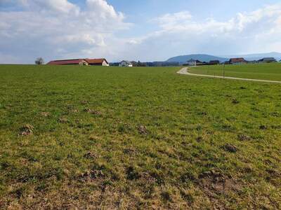 Land- und Forstwirtschaft kaufen in 5211 Friedburg