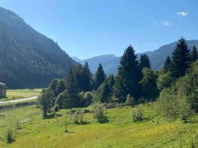 Grundstück kaufen in 8953 Donnersbachwald