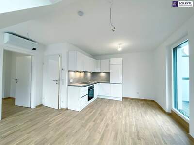 Wohnung mieten in 1220 Wien