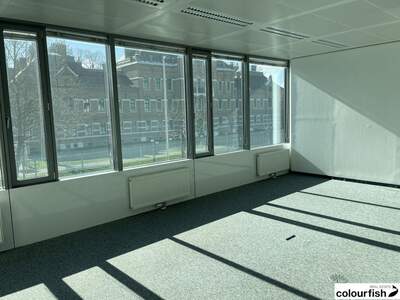 Gewerbeobjekt mieten in 1110 Wien (Bild 5)