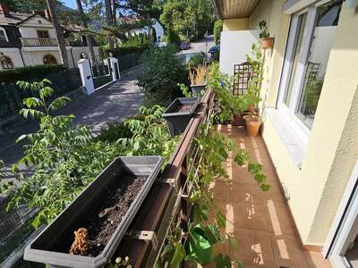 House provisionsfrei kaufen in 2371 Hinterbrühl