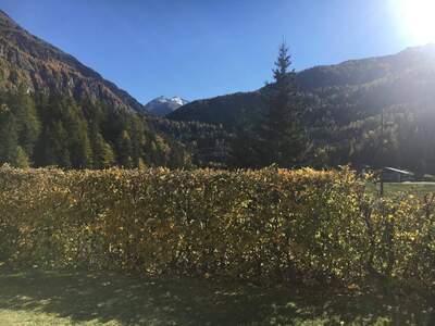 Mietwohnung provisionsfrei in 6450 Sölden