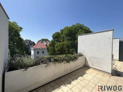 Terrassenwohnung mieten in 1130 Wien (Bild 3)