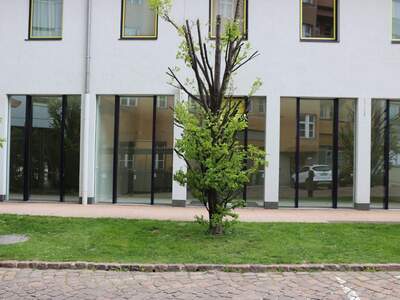 Gewerbeobjekt mieten in 6020 Innsbruck (Bild 1)