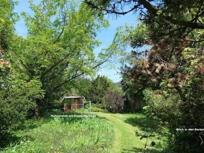 Haus kaufen in 2460 Bruck an der Leitha