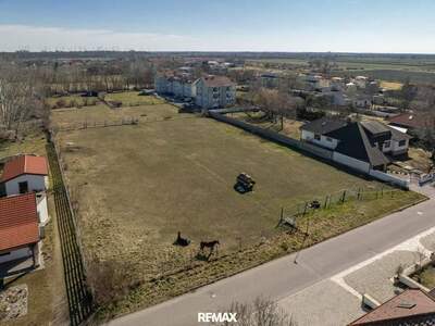 Grundstück kaufen in 7122 Gols