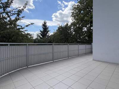 Einfamilienhaus kaufen in 4910 Ried (Bild 5)