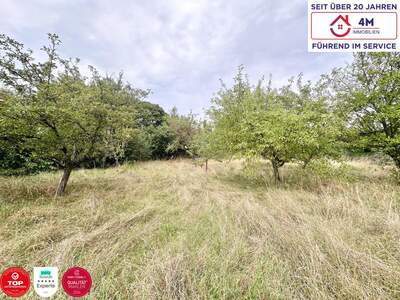 Grundstück kaufen in 2721 Bad Fischau (Bild 1)