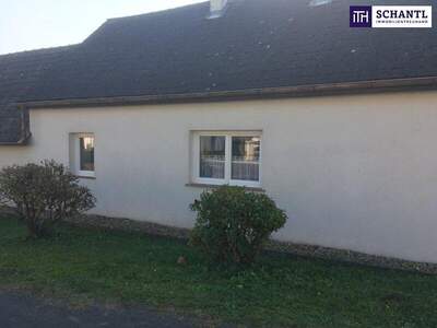 Haus kaufen in 7461 Stadtschlaining (Bild 5)