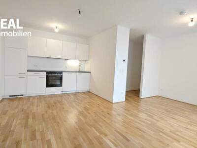 Terrassenwohnung mieten in 1220 Wien (Bild 2)