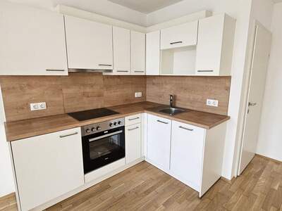 Wohnung mieten in 8020 Graz (Bild 4)