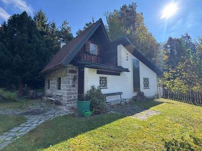 Haus mit Garten kaufen (Bild 4)