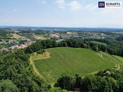 Grundstück kaufen in 8462 Eckberg